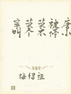 宁荣荣被唐三桶叫个不停小说封面