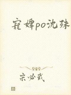 宠婢po沈殊辞封面