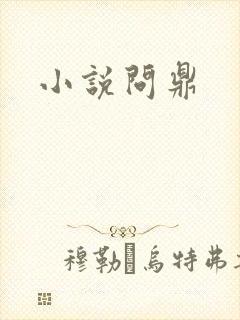 小说问鼎