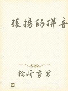 张扬的拼音封面