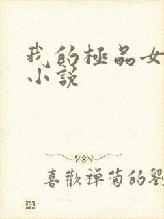 我的极品女老师小说