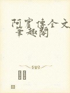 阿宾传全文阅读 笔趣阁