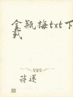 金瓶梅txt下载