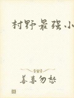 村野最强小农民