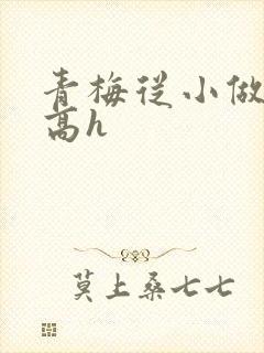 青梅从小做到大高h