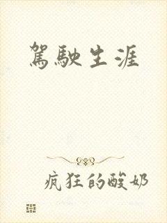 驾驶生涯