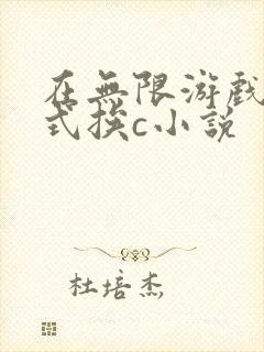 在无限游戏里花式挨c小说封面