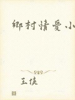 乡村情爱小说