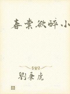 春棠欲醉小说封面