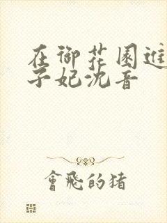 在御花园进入太子妃沈音