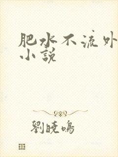 肥水不流外人田小说
