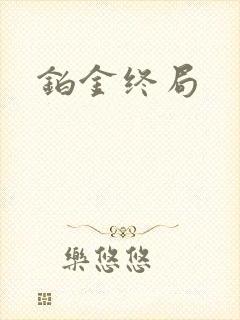 铂金终局