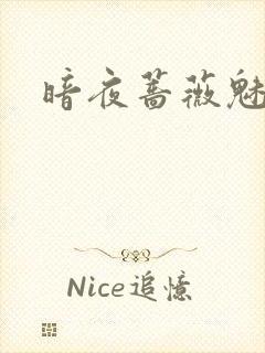 暗夜蔷薇魅