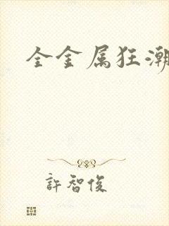 全金属狂潮小说