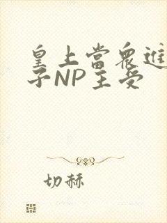皇上当众进入太子NP主受封面