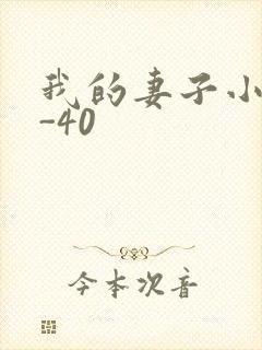 我的妻子小谨1-40