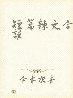 短篇辣文合集小说