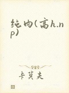 纯肉(高h.np)