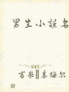 男生小说名字
