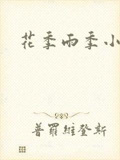花季雨季小说封面