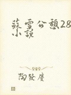苏雪公憩28篇小说封面