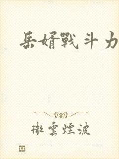 岳婿战斗力