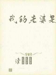 我的老婆是军阀
