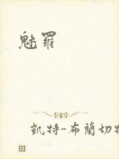 魅罗封面
