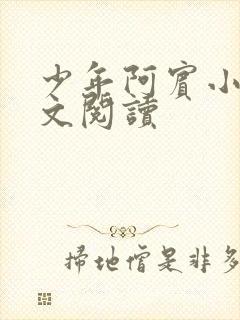 少年阿宾小说全文阅读