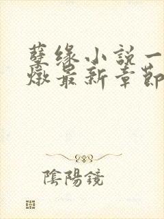 孽缘小说一家乱炖最新章节阅读