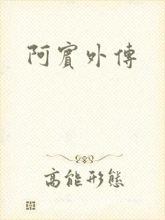 阿宾外传