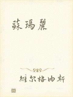 苏玛丽封面