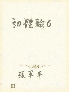 初体验6封面