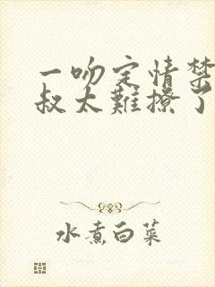 一吻定情禁欲小叔太难撩了