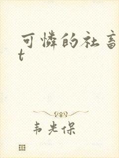 可怜的社畜txt
