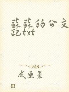 苏苏的公交车日记txt封面