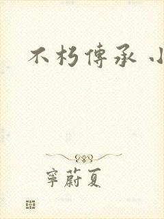 不朽传承 小说