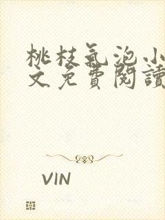 桃枝气泡小说全文免费阅读