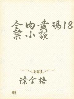 全肉黄码18无禁小说