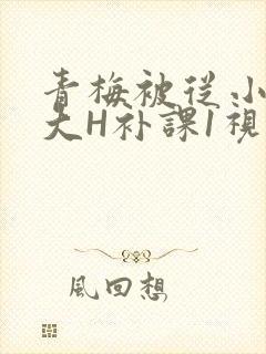青梅被从小摸到大H补课1视频