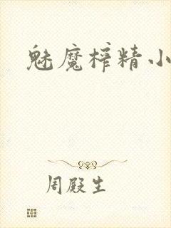 魅魔榨精小说封面