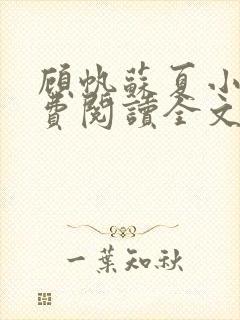 顾帆苏夏小说免费阅读全文封面