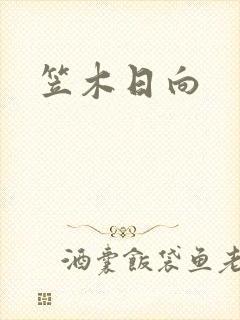 笠木日向