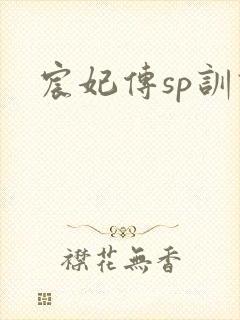 宸妃传sp训诫封面