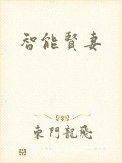 智能贤妻