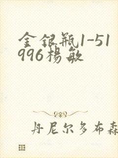 金银瓶1-51996杨敏封面