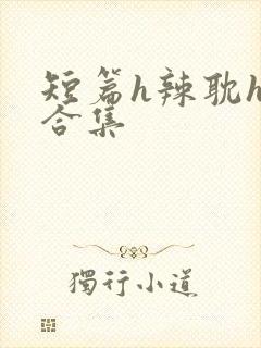 短篇h辣耽h文合集