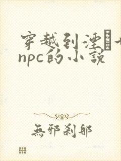 穿越到湮婸世界npc的小说