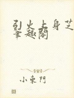 引火上身芝麻糖笔趣阁