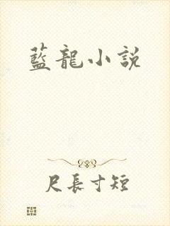 蓝龙小说封面